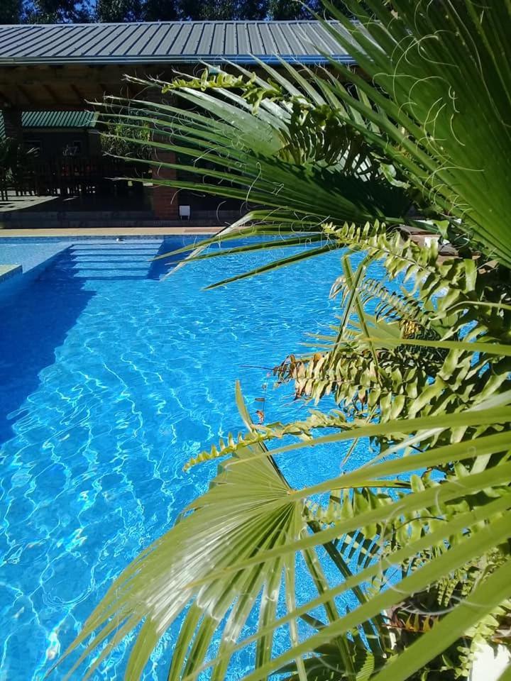 Cabanas Y Boungalow Don Oscar Hotel Encarnacion Exterior photo